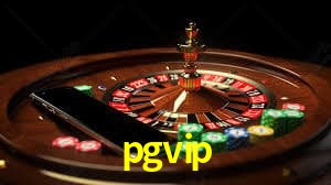 VIP Casino pgvip