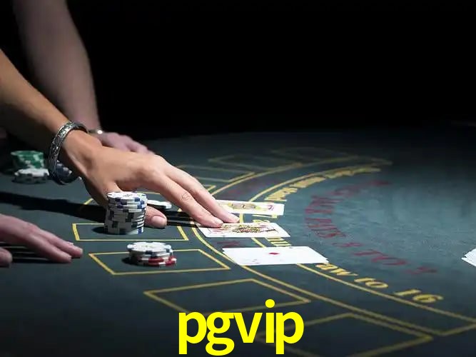 Descubra a Essência do pgvip: Nossa História e Compromissos